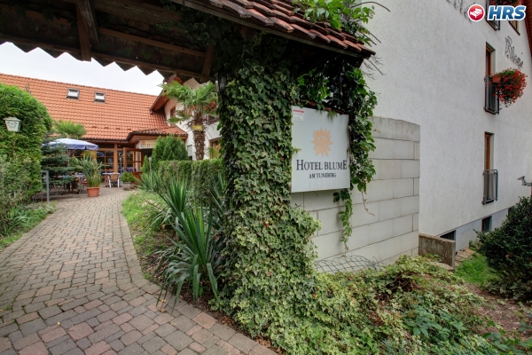 Hotel Blume (Freiburg im Breisgau)